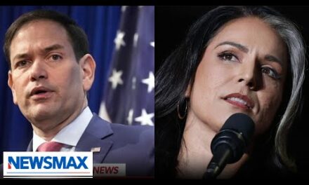 Trump nominates Rubio for Secretary of State, Gabbard for DNI: Report | American Agenda