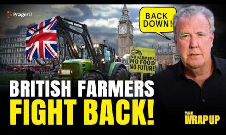 The New York Times Fails “Fact-Check” & British Farmers Reject New UK Taxes: 11/22/24 | The Wrap Up