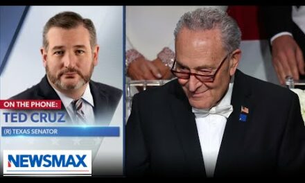 Ted Cruz: Schumer and Soros are ‘hammering me’ to flip Texas