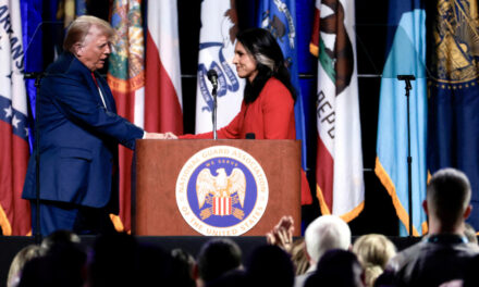 Trump Picks Tulsi Gabbard as Director of National Intelligence