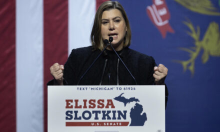 Democrats Retain Michigan Senate Seat