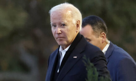 Biden Will Continue to Push for Ukraine Aid in Next 2 Months Before Leaving, Adviser Says