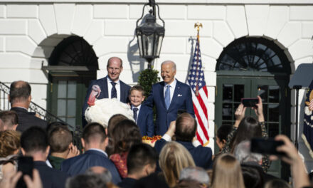 Biden Pardons 2 Turkeys in Annual White House Tradition