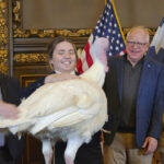 Tim Walz Accepts Turkey Presentation as He Eases Back Into His Duties as Minnesota’s Governor