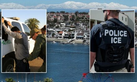 California coastal enclave near sanctuary city tries to ‘Newsom-proof’ itself