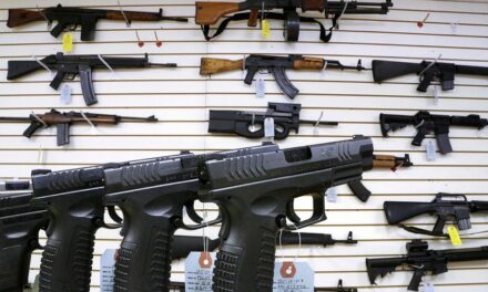 Thousands of gun sales on hold in Washington State amid weeks-long court system outage