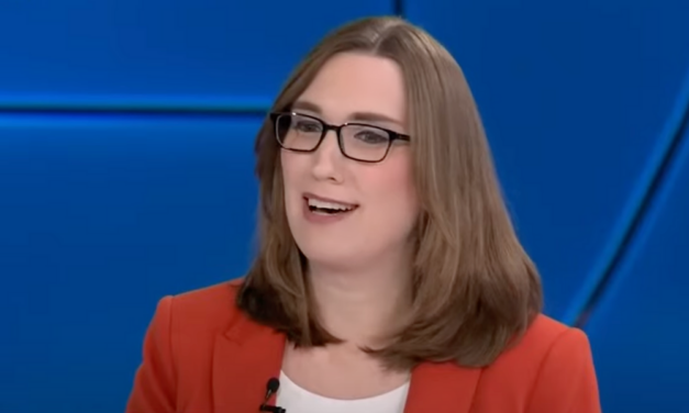 Watch: Bathroom Trouble for Trans Democrat Rep. Sarah McBride