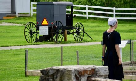 The Amish Turnout For Trump In This Key Swing State Was “Unprecedented”