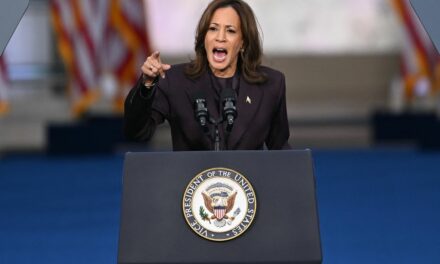 Kamala Harris finally concedes election in speech after devastating election loss: ‘Do not despair’