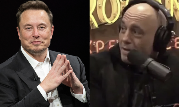 Elon Musk buying MSNBC? Joe Rogan is IN providing Cousin Elon gives him one specific job