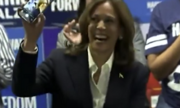 Watch: Kamala Harris Gets Caught Faking A Phone Call Pretending To Talk To A Voter