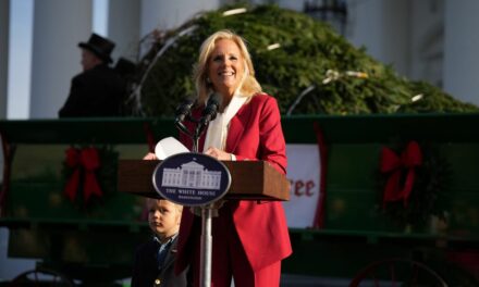 Jill Biden story about White House Christmas tree gets fierce ridicule from social media