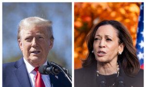 Harris in Michigan as Trump Hits 3 Swing States on Final Sunday Before Election