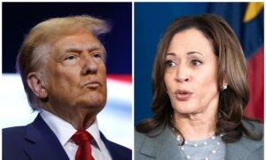 Final NYT/Siena Poll Shows Harris, Trump Leading in Different Key Battleground States