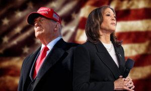 Harris, Trump Make Final Push Before Election Day; Race for US Senate Seat in Texas Shifts Left