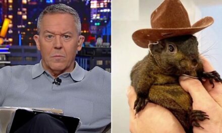 GREG GUTFELD: You ‘red pill’ Americans by raiding their homes and murdering their pets