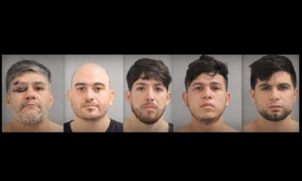 Arrested illegal aliens from sophisticated Chilean theft ring set free since charges against them aren’t bail eligible in NY