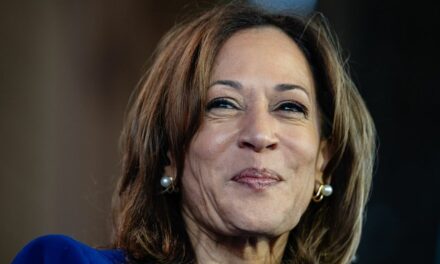 Democrats release bizarre video message from Kamala Harris to supporters