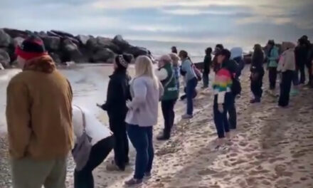 Liberal Women Protest Trump’s Victory With a ‘Primal Scream’ on Lake Michigan (VIDEO)