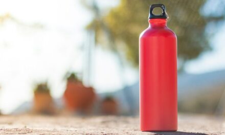 Unwrap the new Stanley and Comfort & Joy water bottle collection