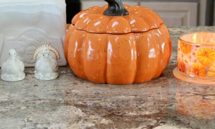 Festive pumpkin-themed decor to warm up your kitchen this fall season