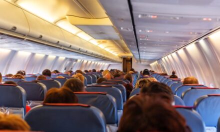 Airline passenger sparks viral debate about plus-sized seatmate issue