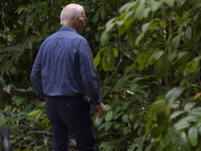 JOE-MANJI! Confused Biden Wanders into the Amazon Rainforest