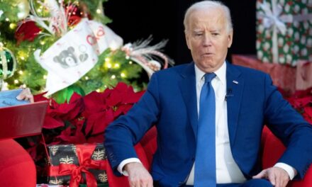 Joe Biden Getting Absolutely Crushed For The White House’s Tone-Deaf Christmas Tree