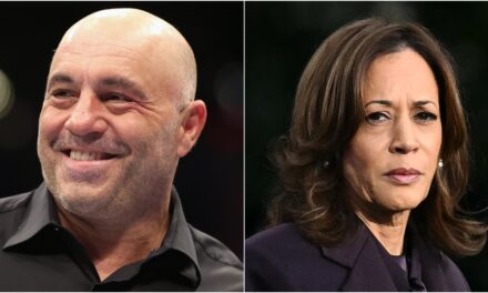 Joe Rogan Explains Kamala Harris’s Wild Demands – Including No Pot Talk