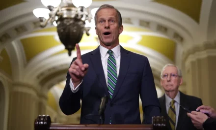 John Thune elected to succeed Mitch McConnell as Senate GOP leader