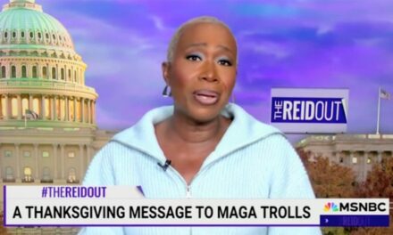 Joy Reid sends message to Republicans ahead of Thanksgiving: ‘Make your own dinner, MAGA’