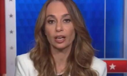 BRUTAL: CNN Hosts Absolutely Silent as Democrat Strategist Delivers Some ‘Hard Truths’ to Her Party (VIDEO)