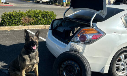 Photos: California K-9 Sniffs Out 2.2 Pounds of Suspected Fentanyl Hidden in Car