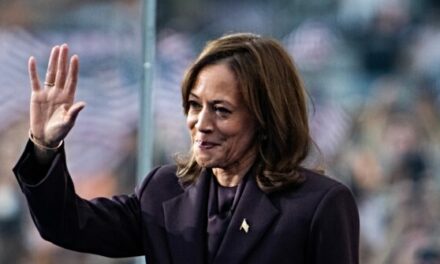 Nolte: Insiders Say Kamala Harris Will Try Again in 2028