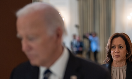 Democrat Officials: ‘If Anyone Should Get the Blame for a Trump Win, It’s Biden’