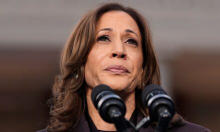 Harris campaign costs for star-studded events on election eve ballooned to over $10M: report