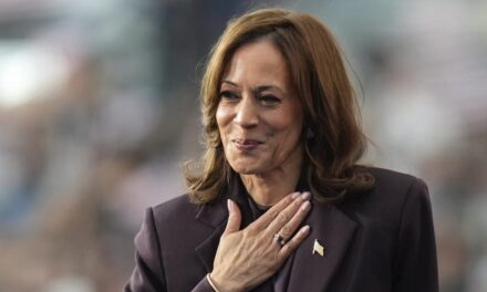 Could Vice President Kamala Harris make a run for California governor in 2 years?