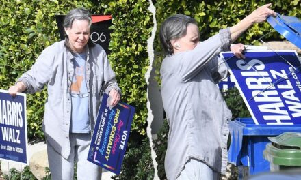 Kamala Harris supporter Sally Field trashes campaign sign after Donald Trump victory