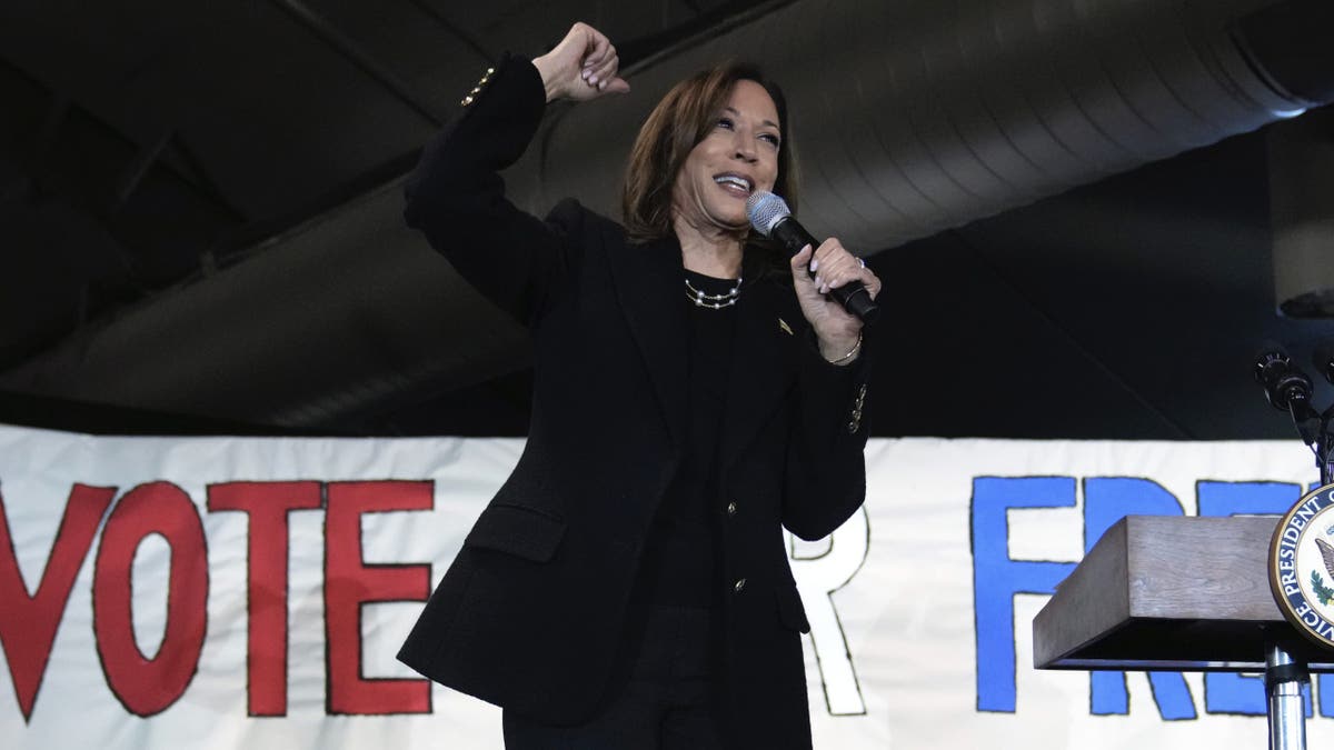 Vice President Kamala Harris speaks during a campaign event at Montage Mountain Resort in Scranton, Pennsylvania, Monday, Nov. 4, 2024.