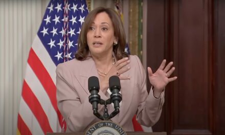 Insanity: Poll Finds Democrat Voters Want Kamala Harris to Be Their Nominee Again in 2028