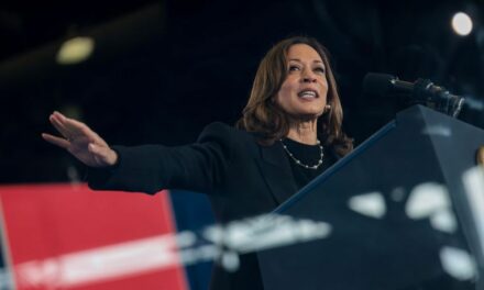 Liberal media shields Harris from disastrous jobs report