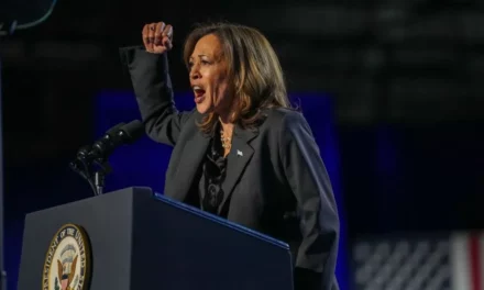 Liberal publication reveals what Democrats might blame Harris’ loss on