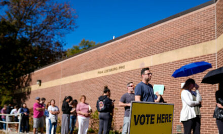 Kamala Harris: ‘It Will Take Time to Count Every Vote’