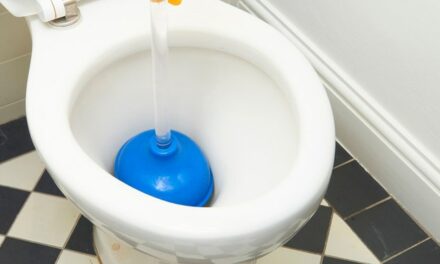 A Clogged Toilet At A Birthday Party Caused A Man’s Girlfriend To Dump Him