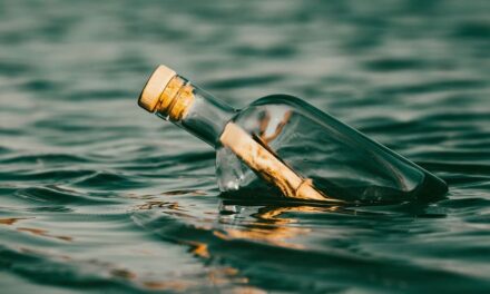 Mom’s message in a bottle found by her own daughter 26 years later