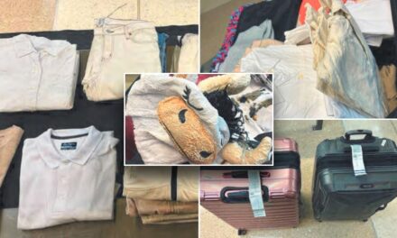 California man allegedly checked suitcases containing meth-caked clothes and a cow pajama onesie: DOJ