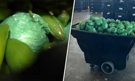 More than $31M in meth concealed in shipment of peppers seized at Texas-Mexico border