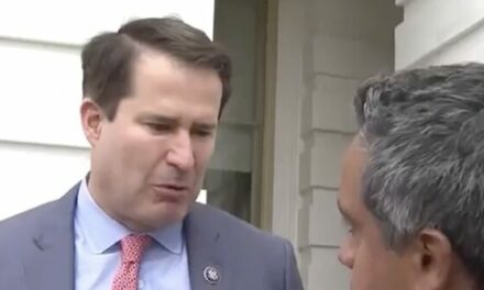 Dem Rep. Moulton: ‘We’ve Lost Touch with the Majority of Americans’