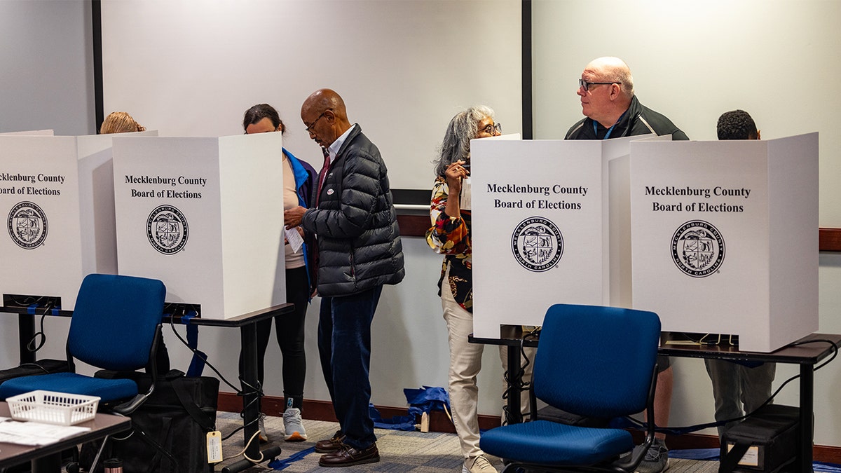 Voters cast their ballots at an early voting location in Mecklenburg County, North Carolina. (Photo by Nathan Posner/Anadolu via Getty Images)