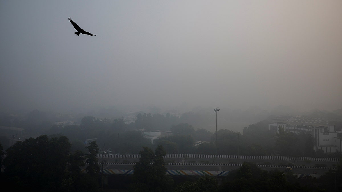 Traffic passes by on a road as the sky is enveloped with smog after Delhis air quality was classified as 